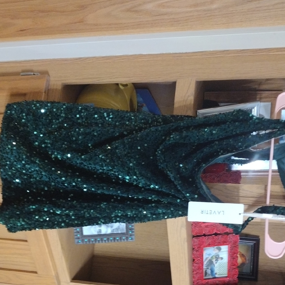 Lavetir Emerald Sequin Gown